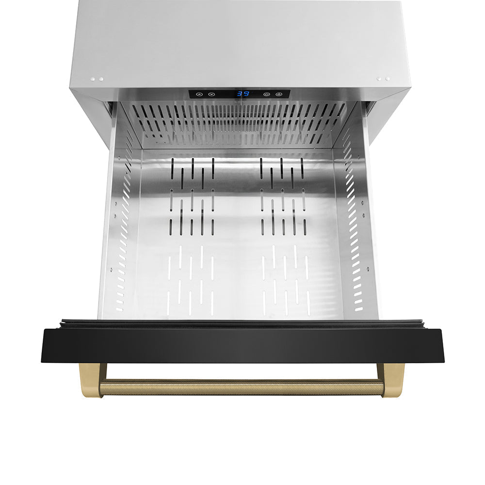 zline-24-in-refrigerator-drawer-4-6-cu-ft-outdoor-rated-dual-drawer-black-stainless-steel-champagne-bronze-handles-rdsoz-bs-24-kcb