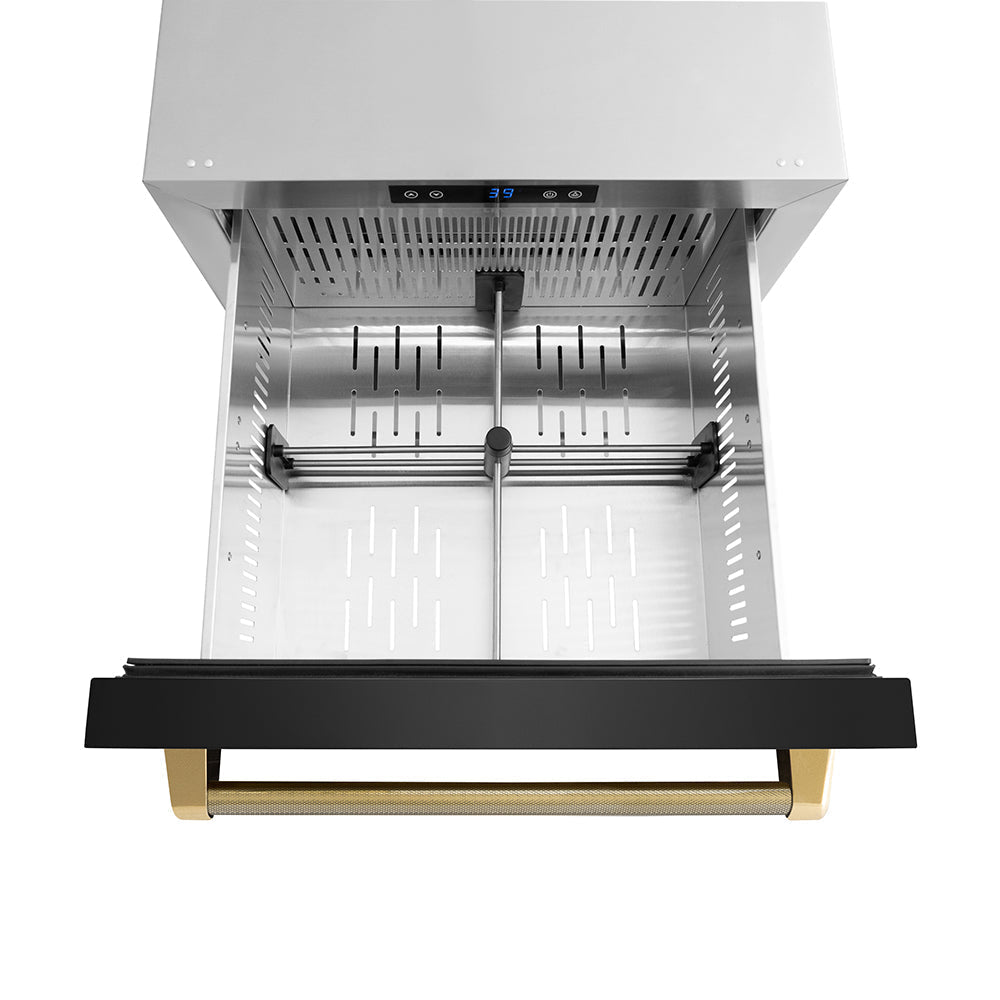 zline-24-in-dual-refrigerator-drawer-168-can-capacity-outdoor-rated-black-stainless-steel-doors-polished-gold-helix-handles-rdsoz-bs-24-kg