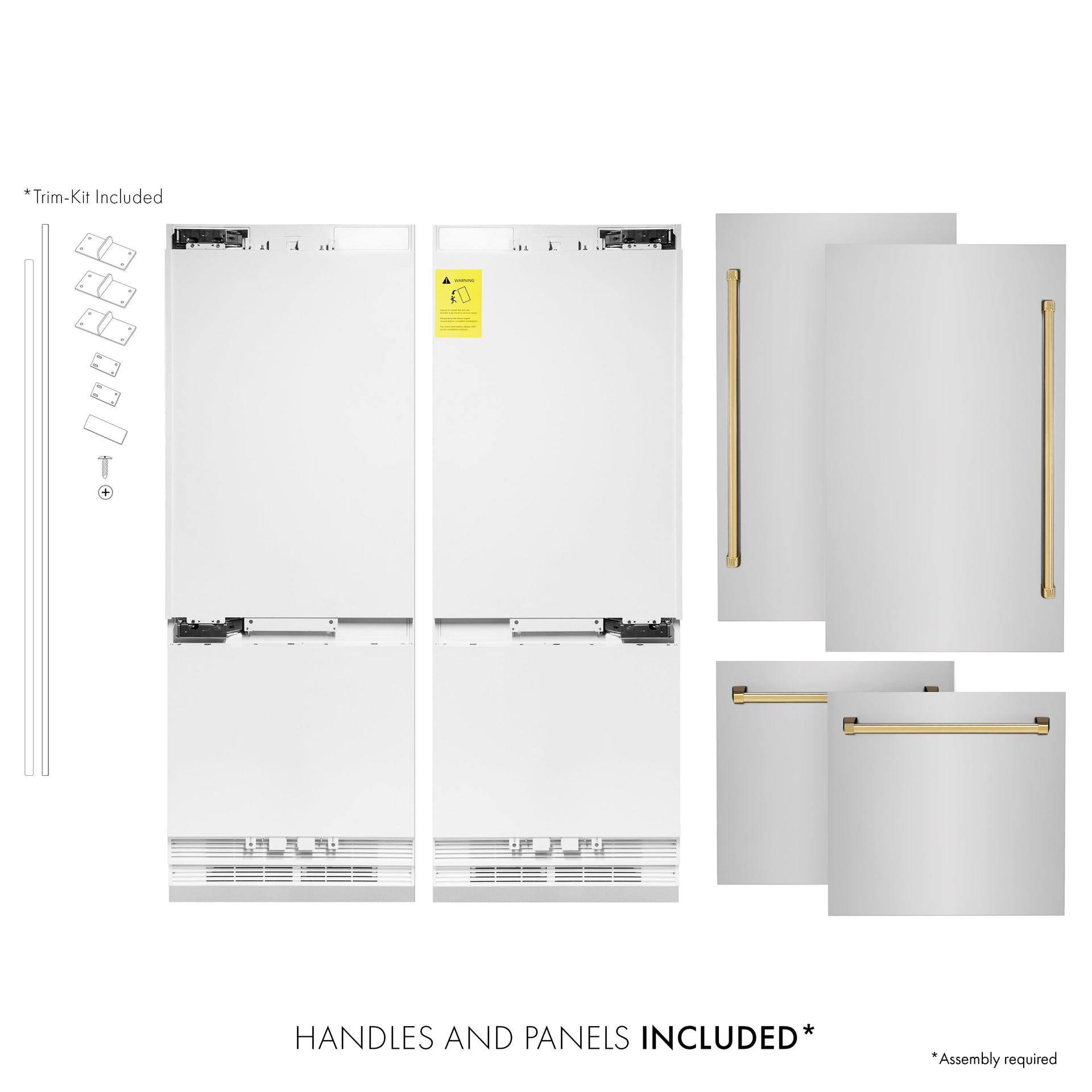 zline-60-built-in-refrigerator-internal-water-ice-dispenser-stainless-steel-gold-accents-rbivz-304-60-g