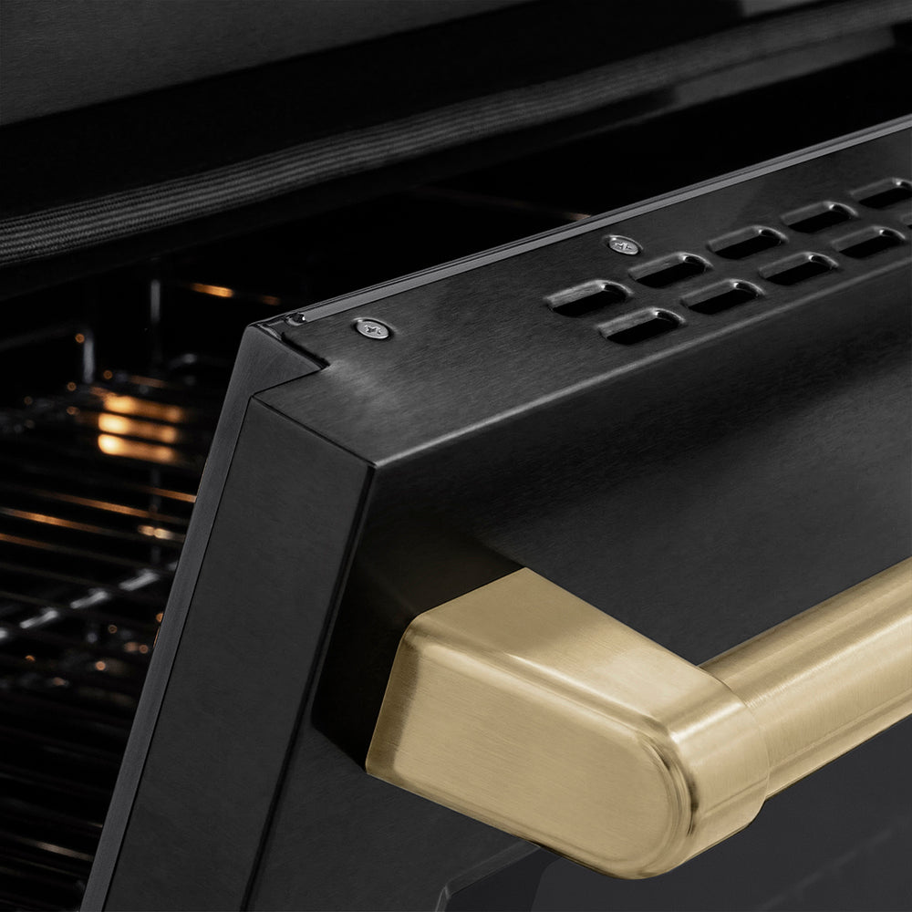 zline-24-in-induction-range-3-2-cu-ft-paramount-series-3-elements-cooktop-electric-convection-oven-black-stainless-steel-champagne-bronze-accents-sinrbz-24-cb